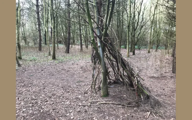 Construir un Refugio de Bushcraft: Tipos y T&eacute;cnicas Detalladas - imagen ilustrativa