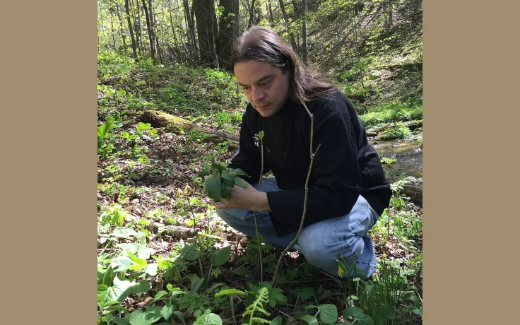 Fermentaci&oacute;n Silvestre: Vinagre, Kombucha y M&aacute;s con Ingredientes del Monte - imagen ilustrativa