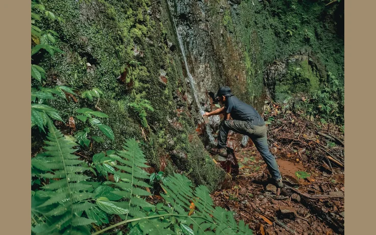 Filtro de Agua con Materiales Naturales: C&oacute;mo Hacerlo - imagen ilustrativa