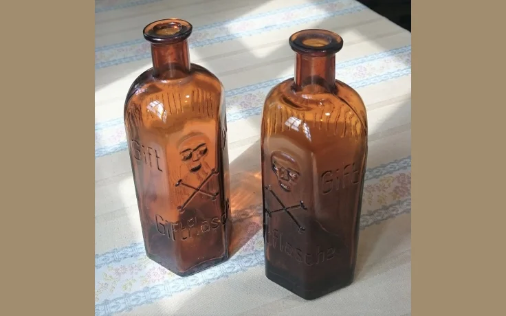 Hongos Venenosos en Espa&ntilde;a: C&oacute;mo Identificarlos y No Confundirlos - imagen ilustrativa