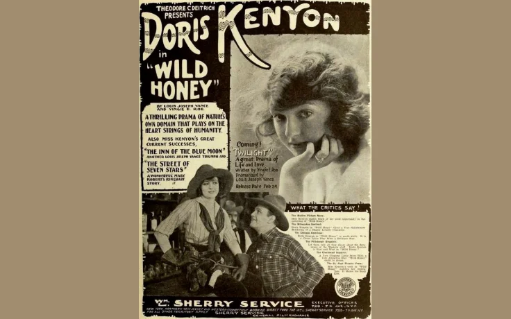 Encontrar Miel Silvestre: C&oacute;mo Localizar Colmenas en la Naturaleza - imagen ilustrativa