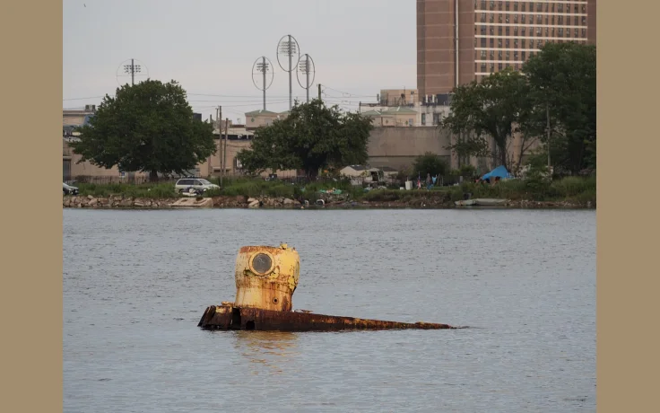 Se&ntilde;ales Naturales para Orientarse: Lo que la Naturaleza te Dice - imagen ilustrativa