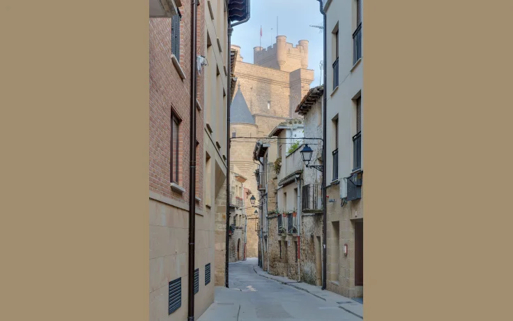 Setas de Oto&ntilde;o en Espa&ntilde;a: Temporada, Zonas y Mejores Especies - imagen ilustrativa